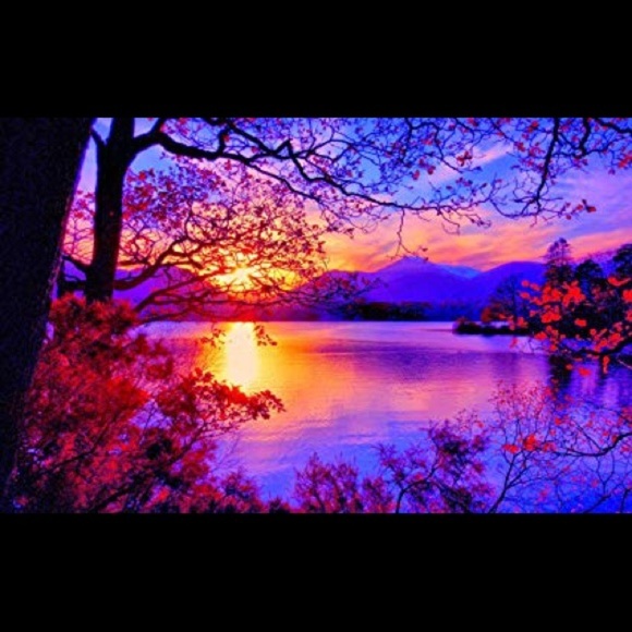 Meet your Posher, Dee - Picture 1 of 2